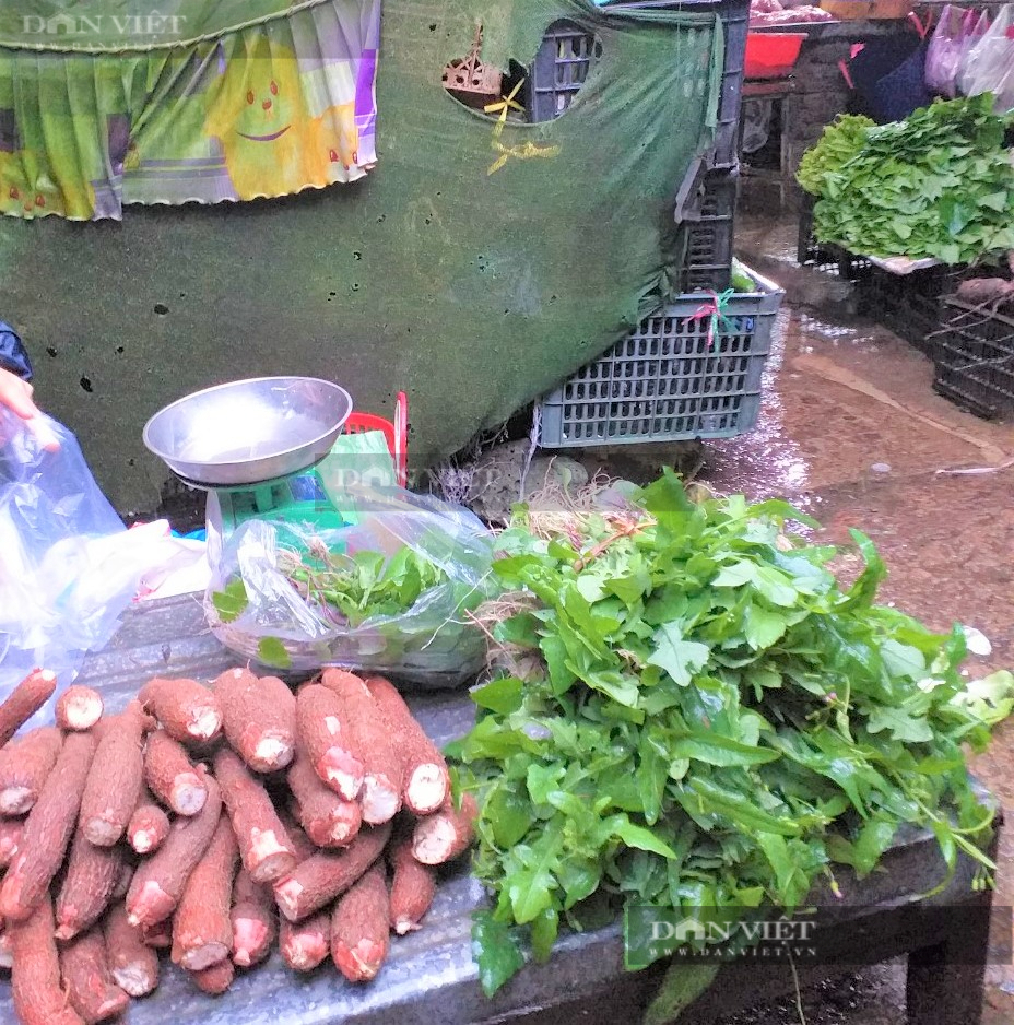 Nông dân Phú Yên hái loại rau mọc dại trên rẫy, ai ngờ lại thành đặc sản, kiếm cả bộn tiền - Ảnh 6.