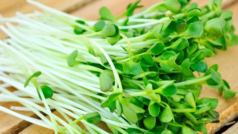 6 loại rau kiểu gì cũng có trong bữa ăn ngày Tết, lại còn tốt cho sức khỏe, dễ trồng, bán đắt hàng - Ảnh 5. 6 loại rau kiểu gì cũng có trong bữa ăn ngày Tết, lại còn tốt cho sức khỏe, dễ trồng, bán đắt hàng - Ảnh 5.
