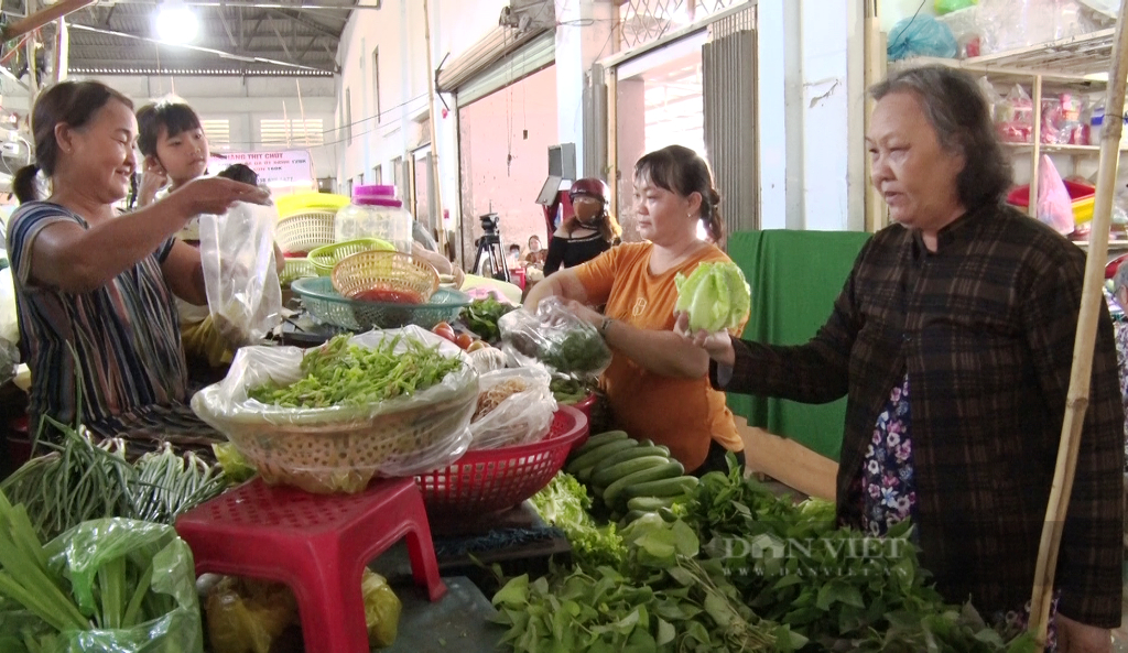 Ninh Thuận: Hằng trăm hecta rau màu phục vụ tết nguyên đán chìm trong biển nước - Ảnh 6.