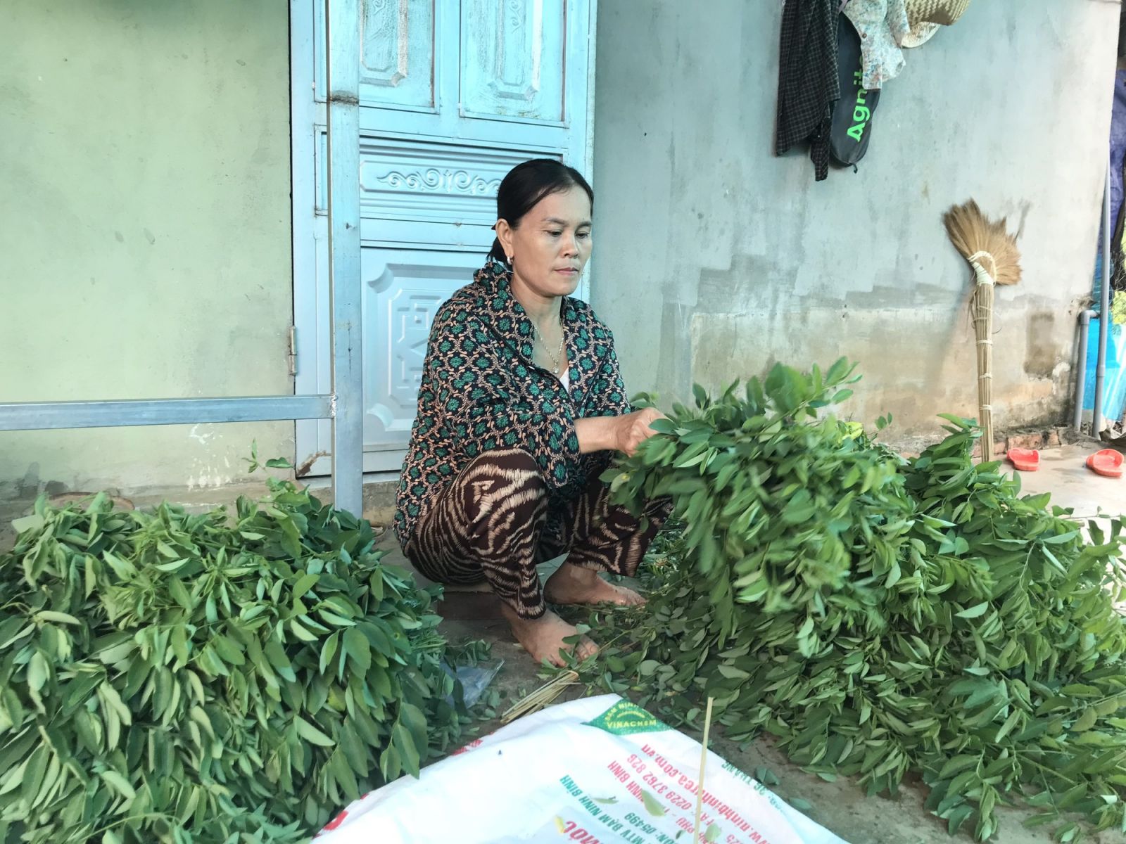 Biến vườn tạp thành đất trồng thứ rau ăn ngọt như nước ninh xương, cứ hái là nông dân Nghệ An này bán hết - Ảnh 6.