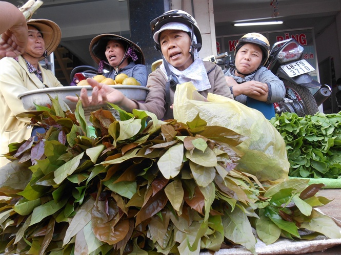 Loại rau dân dã được mệnh danh là "bột ngọt" của núi rừng, được dân sành thi nhau lùng mua giá 120.000 đồng/kg - Ảnh 1.