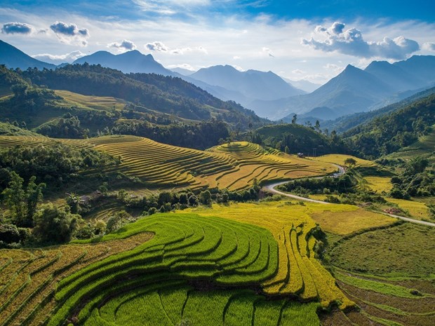 Ruộng bậc thang vào mùa lúa chín đẹp như phim đang gây "sốt rần rần" ở Sa Pa - Ảnh 5.