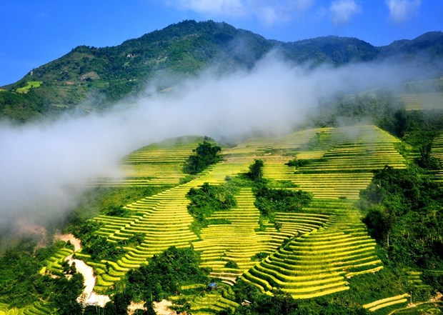 Ruộng bậc thang vào mùa lúa chín đẹp như phim đang gây "sốt rần rần" ở Sa Pa - Ảnh 7.