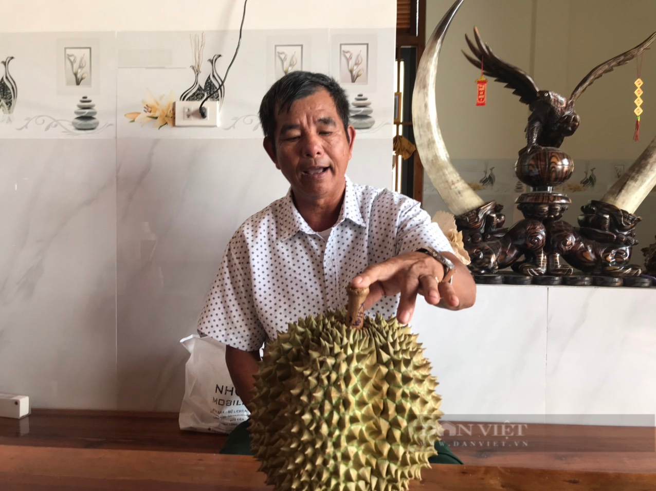 Sầu riêng đầu vụ tăng giá, nông dân Khánh Hòa thu tiền tỷ - Ảnh 5. Sầu riêng đầu vụ tăng giá, nông dân Khánh Hòa thu tiền tỷ - Ảnh 5.
