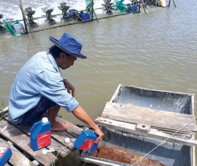 Sử dụng men vi sinh