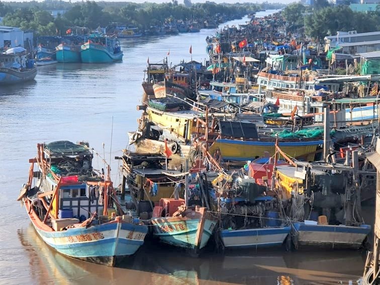 Tàu đánh cá, Chuyến biến đầu năm thu nhiều thủy hải sản