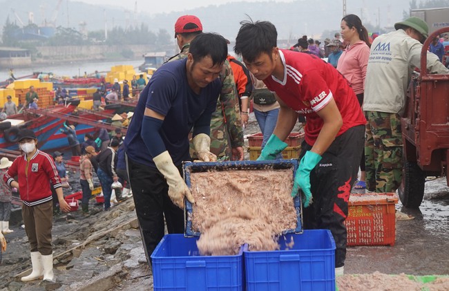 Trúng đậm ruốc tép chỉ đi một đêm mỗi thuyền nhỏ của ngư dân Nghệ An thu về hàng chục triệu đồng - Ảnh 9.