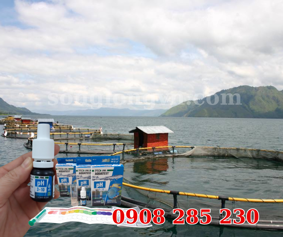 Test pH
