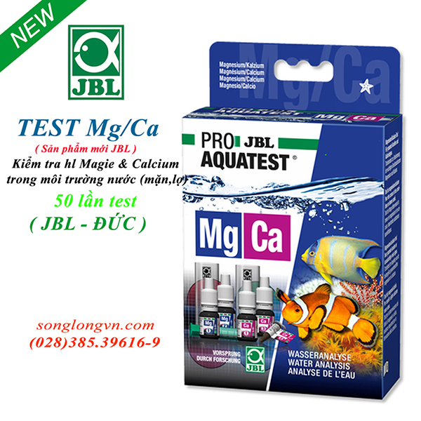 Test Mg/Ca