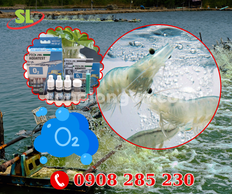 Test Oxy