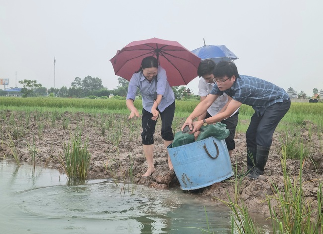 "Đòn bẩy" giúp sản xuất quy củ, hiệu quả - Ảnh 1.