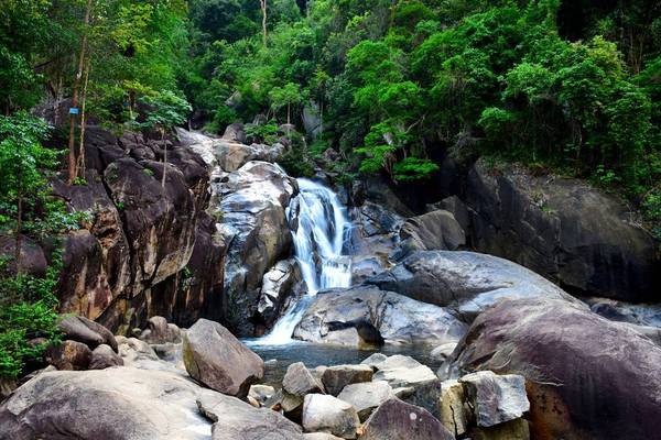 Hồ nước ngọt nào mang tên Biển Lạc nhưng lại nằm trọn trong rừng nguyên sinh, rừng này ở tỉnh nào của Việt Nam? - Ảnh 2.