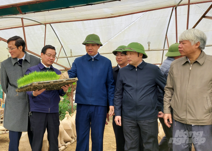 20210111_150818-175142_636.jpg Ông Lê Đức Giang, Phó Chủ tịch UBND tỉnh Thanh Hóa kiểm tra công tác chống rét cho mạ xuân tại huyện Yên Định. Ảnh: Võ Dũng.