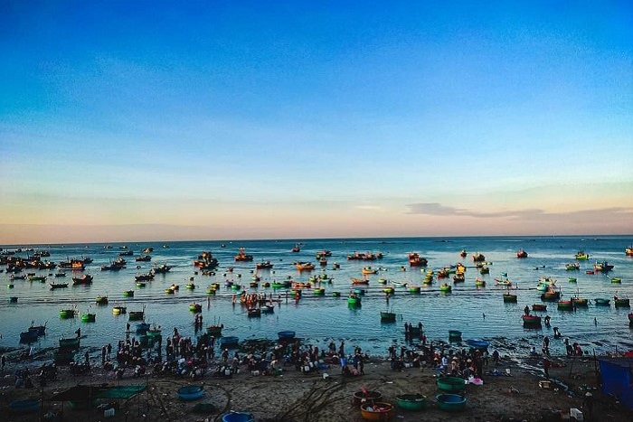 Thu hoạch cá tươi