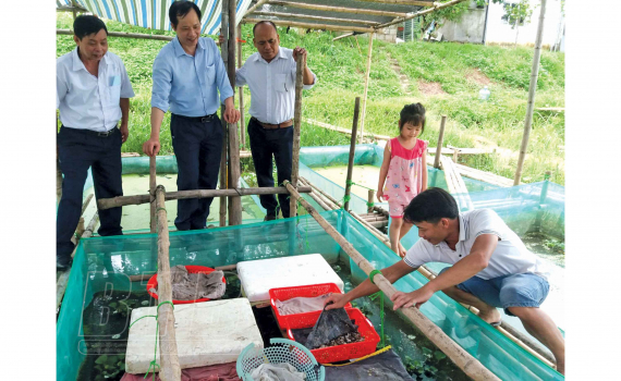 Nuôi con đặc sản chả bao giờ ăn cám công nghiệp, anh nông dân Thái Bình thu gần 1 tỷ đồng ở khu ruộng xấu - Ảnh 1. Nuôi con đặc sản chả bao giờ ăn cám công nghiệp, anh nông dân Thái Bình thu gần 1 tỷ đồng ở khu ruộng xấu - Ảnh 1.