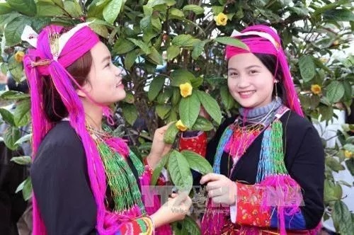 Trồng thứ cây quý bán lá, bán hoa mà dân ở nơi này của Quảng Ninh thu hàng chục tỷ đồng - Ảnh 1.