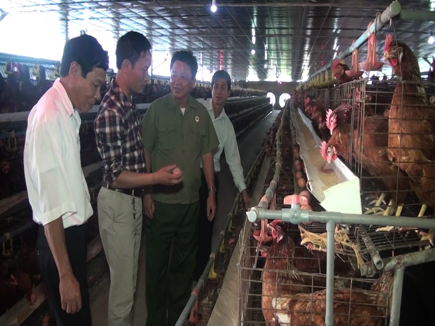 Tự hào xã thuần nông có 3 nông dân Việt Nam xuất sắc - Ảnh 3.
