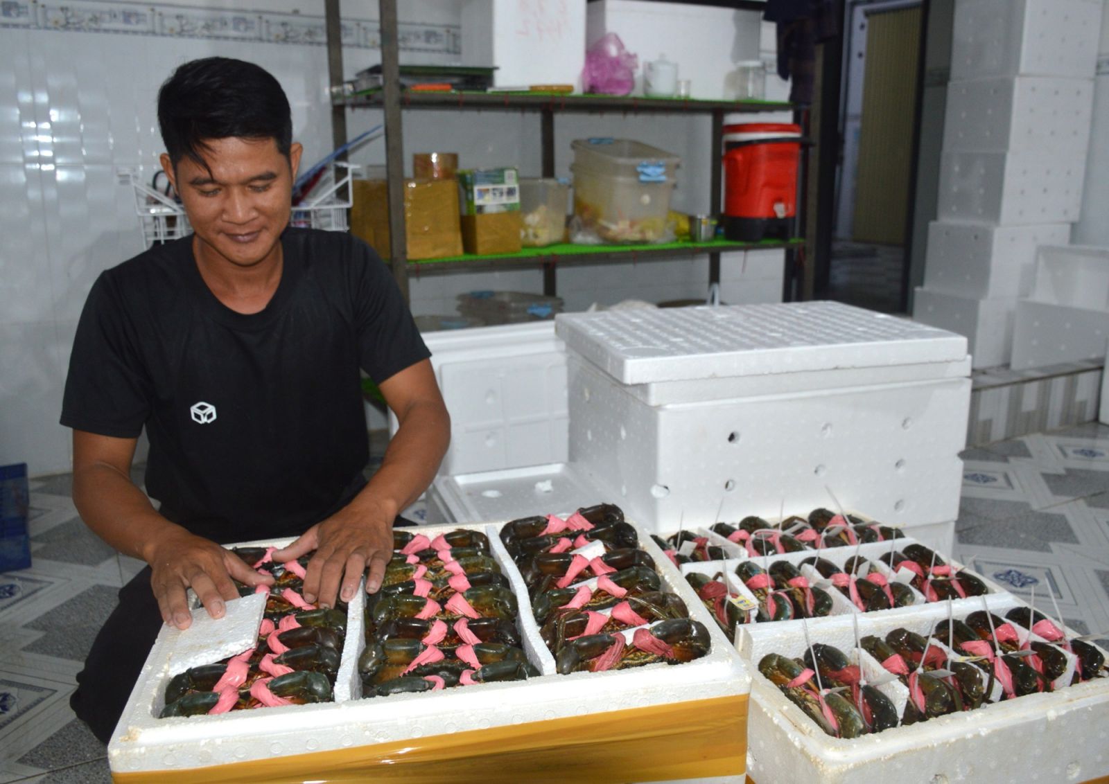 Tỉnh cần hỗ trợ để xuất khẩu chính ngạch cua Cà Mau - Ảnh 2.