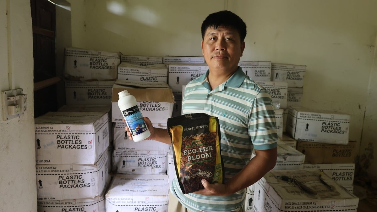 Anh Khải dùng các loại phân bón hữu cơ nhập khẩu từ Mỹ để bón cho cây bưởi. Ảnh: Thanh Tâm