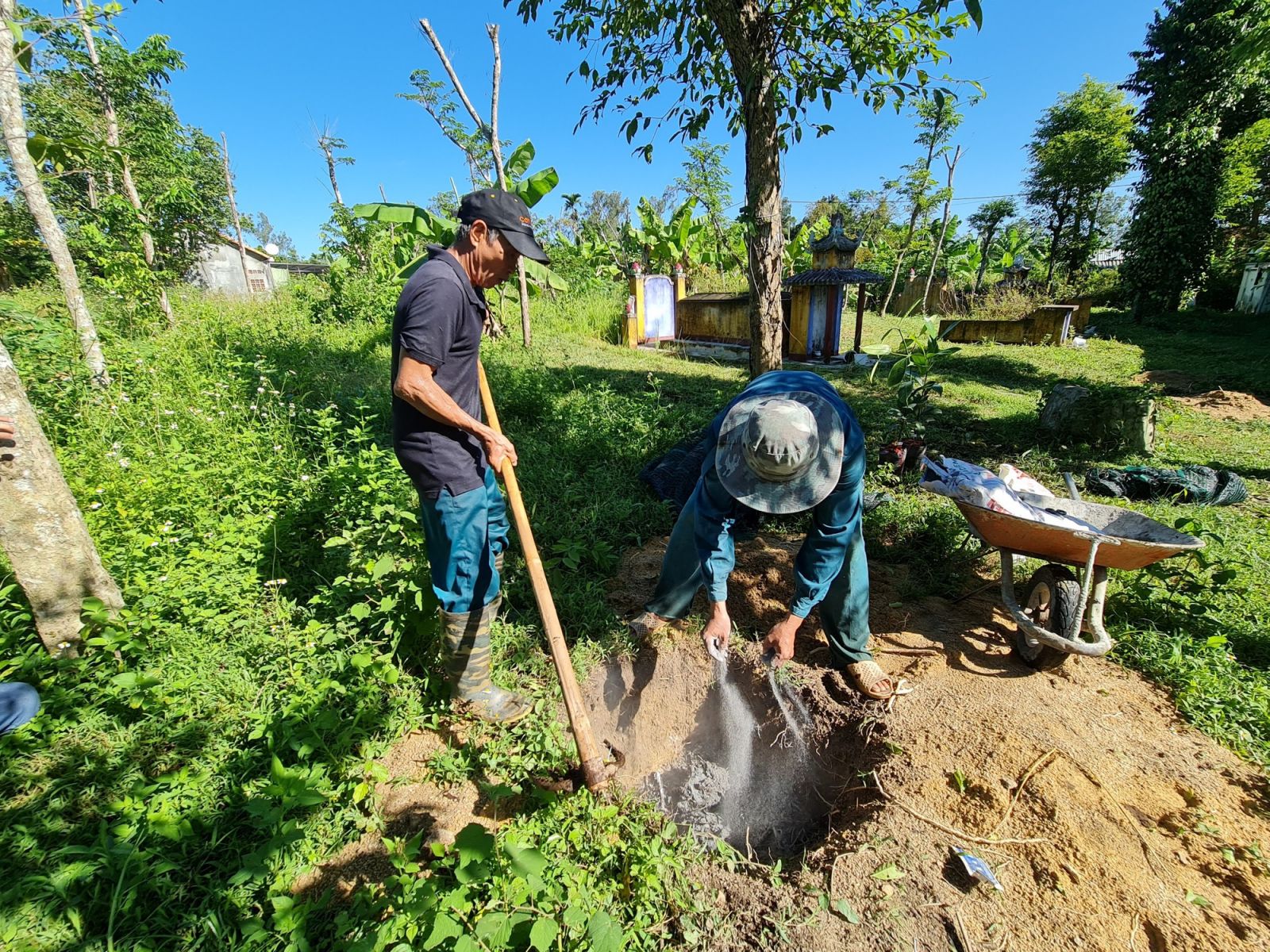 Cây ăn quả mang tên “Nữ Hoàng” chịu được gió bão, dân xứ Quảng xem là “trái vàng” - Ảnh 7.