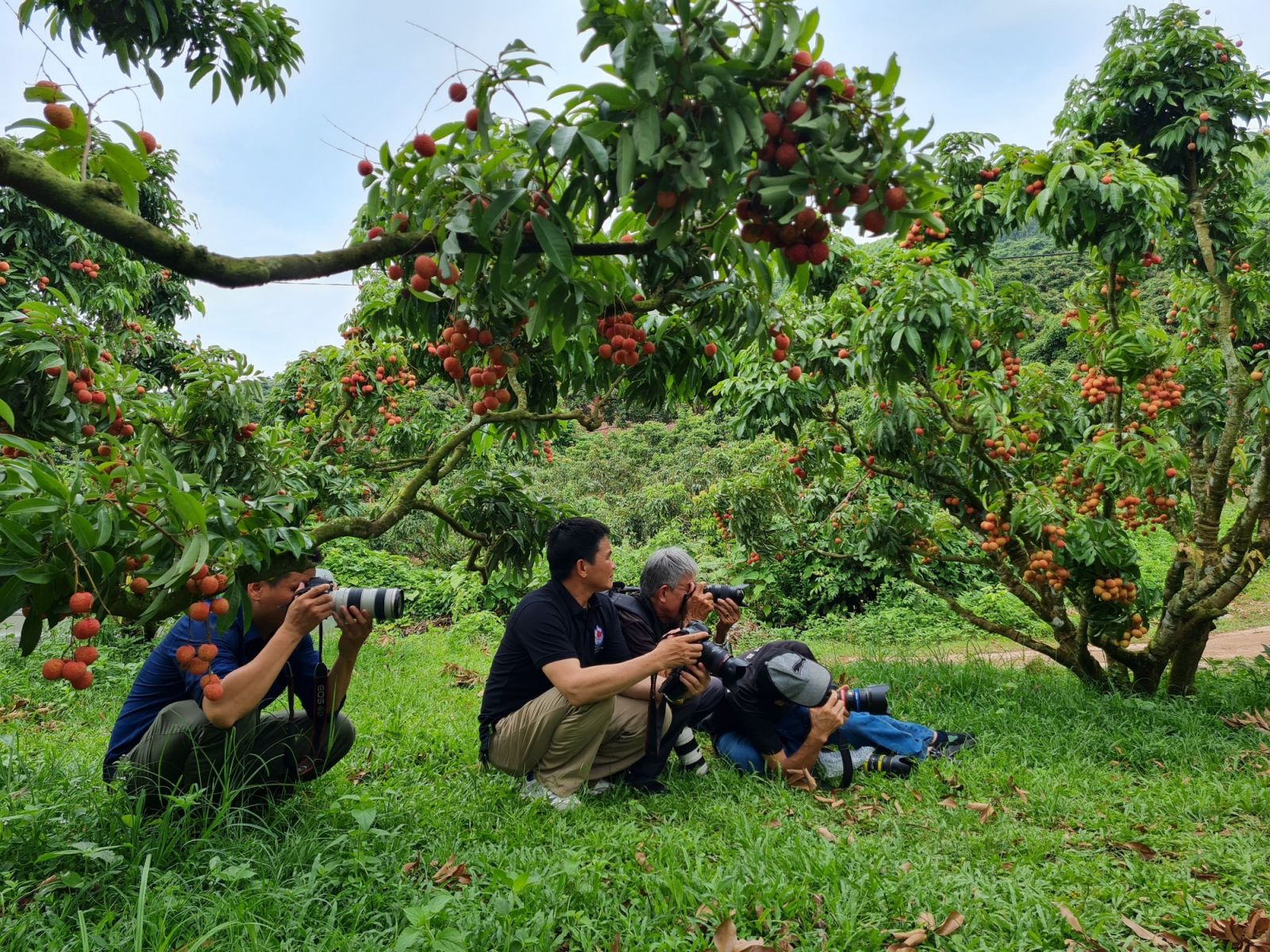 Khu vườn của một ông nông dân Bắc Giang có gì lạ mà có ngày đón cả trăm khách đến chụp ảnh, check in? - Ảnh 2.
