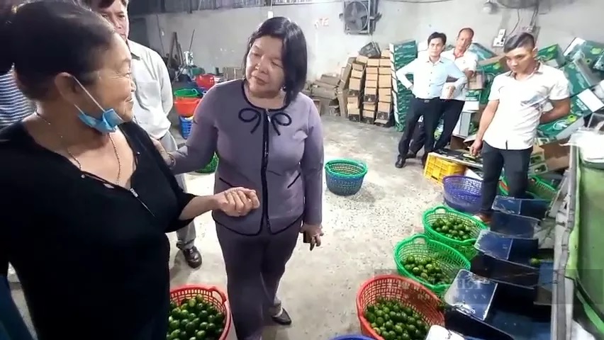 Từng chở chanh đi ký gởi, nữ nông dân trồng chanh từ hai bàn tay trắng trở thành tỷ phú - Ảnh 1. Từng chở chanh đi ký gởi, nữ nông dân trồng chanh từ hai bàn tay trắng trở thành tỷ phú - Ảnh 1.