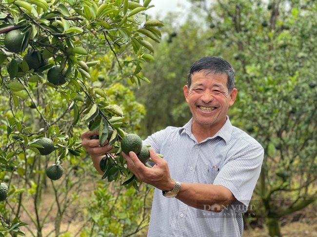 Nông dân Đồng Nai dùng chế phẩm IMO biến rác thành phân tiết kiệm hàng trăm triệu mỗi năm - Ảnh 1.