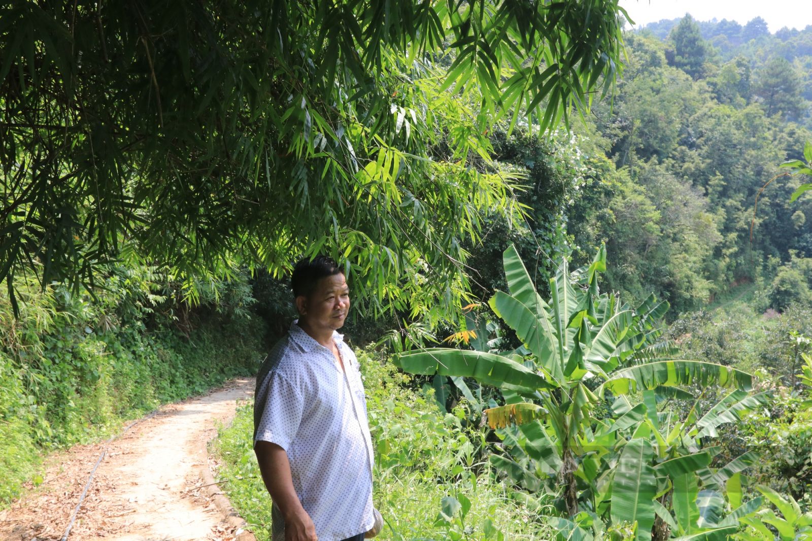 Ông nông dân xuất sắc Hồng- Hồi - Ảnh 2.