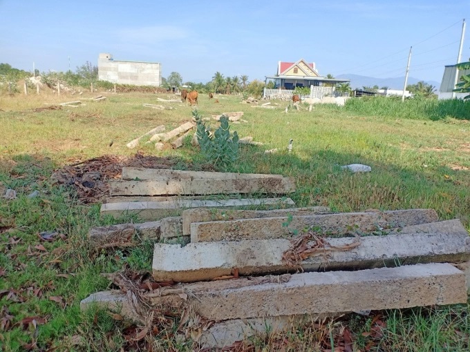 z3299632516941_c5f579c3492d93509ca2bccf9e91694c-1630_20220329_139.jpg Một vườn thanh long ở thôn Bình Lâm, xã Hàm Chính đã phá bỏ, đất vẫn đang bỏ hoang. Ảnh: KS.