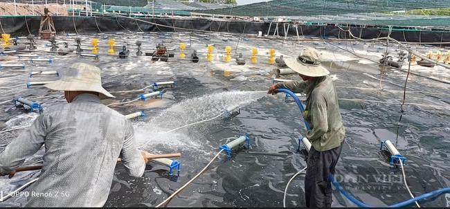 Liều mình nuôi tôm công nghệ cao, nông dân trẻ ở Long Điền thắng lớn - Ảnh 1.