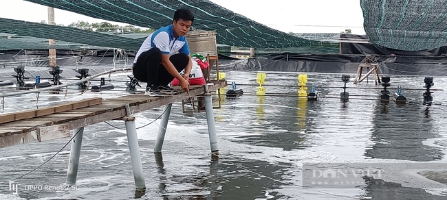 Liều mình nuôi tôm công nghệ cao, nông dân trẻ ở Long Điền thắng lớn - Ảnh 6.