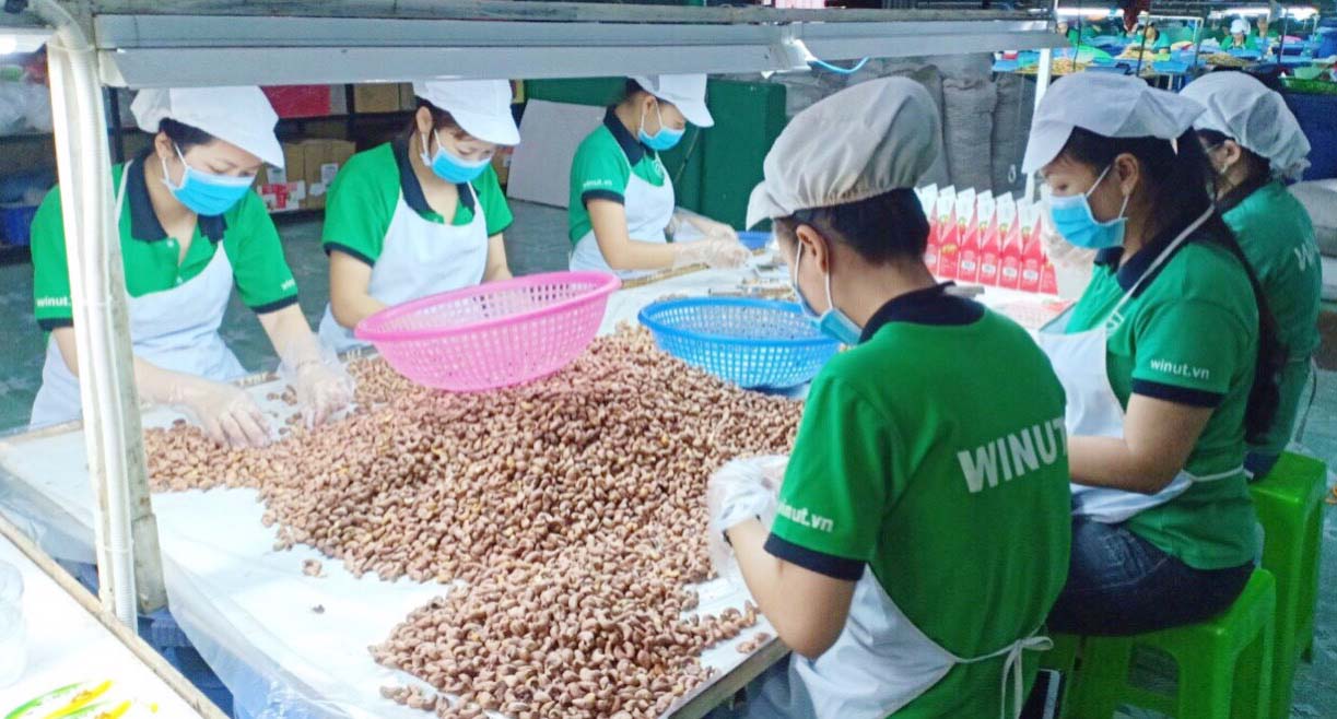 Một loại hạt của Việt Nam được ví như thực phẩm "vàng" cho sức khỏe đắt hàng ở Mỹ, Trung Quốc, Nhật Bản - Ảnh 1.
