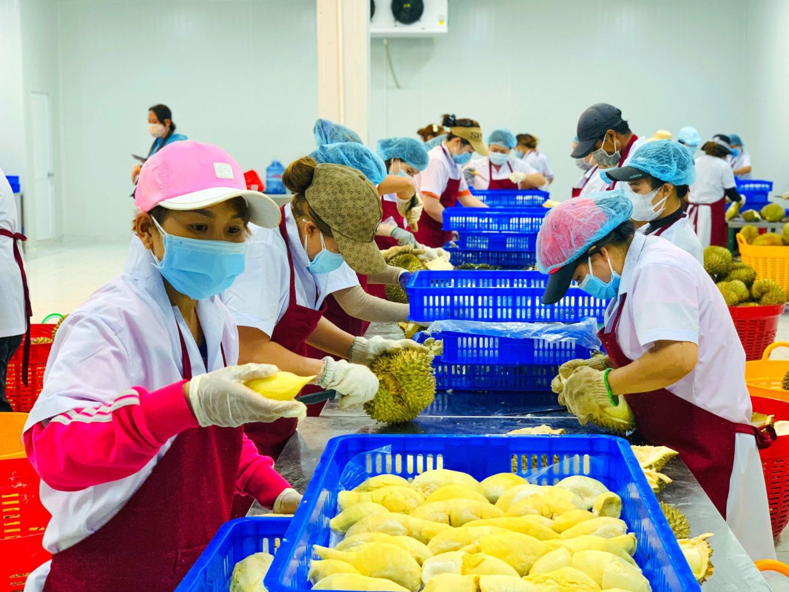 Bộ NNPTNT đặt mục tiêu xuất khẩu nông sản năm 2022 thu 55 tỷ USD, cao hơn Chính phủ giao - Ảnh 1.