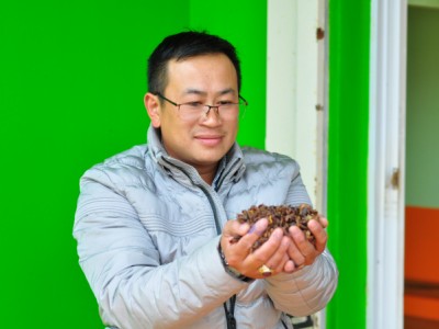 Tận dụng vỏ cà phê để làm trà cascara cao cấp