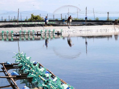 Bộ NN-PTNT: Xây dựng vùng nuôi trồng thủy sản 990.000 ha tại ĐBSCL