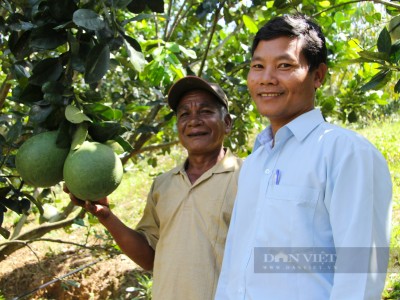 Vườn Quốc gia Phước Bình ở Ninh Thuận (Kỳ 2): “Vương quốc” một loại quả ngon của người Raglai