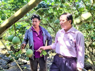 Xuất khẩu tăng 300%, chanh leo Việt Nam càng thêm cơ hội khi Trung Quốc đồng ý nhập khẩu thí điểm