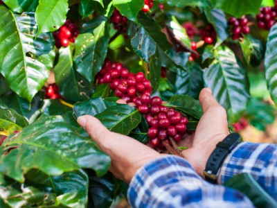 Loại vỏ cứ ngỡ đồ bỏ đi, được 