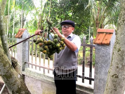 Nam Định: Trồng thứ cây thẳng tuột cứ như trồng cây cảnh, ai ngờ có ngày cả làng giàu lên, 1 năm thu 60 tỷ
