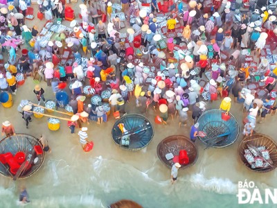 Một cái chợ cách TP Tam Kỳ 15km, cá tôm la liệt, tiếng mua bán rôm rả bên sóng biển, tấp nập nhất Quảng Nam