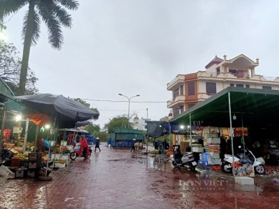 Lạnh cóng tay, rét buốt da, nông dân Hải Dương vẫn phải ra đồng cắt rau đi chợ, chống chuột phá hoại hoa màu