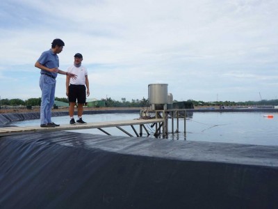 Vì sao nuôi tôm công nghệ mới, ứng dụng chuyển đổi số trong nuôi tôm là hình mẫu ở tỉnh miền Tây này?