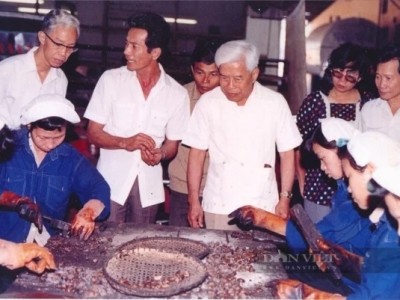 Từ một lon hạt điều của ông Phạm Hùng, Việt Nam có ngành xuất khẩu điều tỷ đô, top hàng đầu thế giới