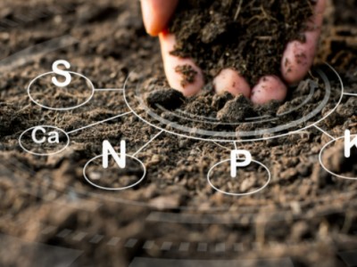 Giá phân bón cao mới thấy tầm quan trọng của xét nghiệm đất