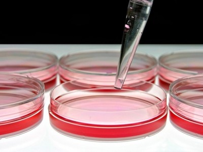 Khoa học và những điều thú vị đằng sau