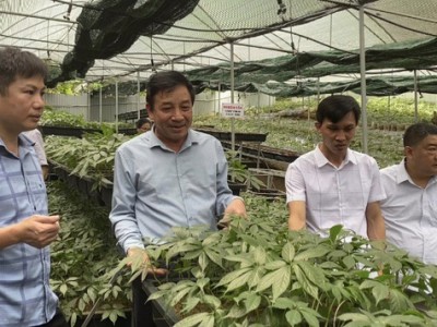 Gỡ rào cản, khai thác 