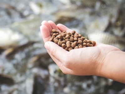 Hướng đi mới trong sản xuất thức ăn thủy sản