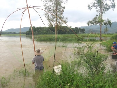 Mùa nước bạc vào tháng mấy mà dân Phú Yên thả lưới, đặt lờ bắt cá, rô phi giãy ồ ồ, cá lúi đuôi đỏ?