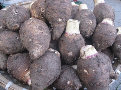 Loại củ cực ngon ở Bắc Kạn ví như đặc sản núi rừng, nghe tên là thèm, đó là củ gì, bắt nguồn từ đâu?