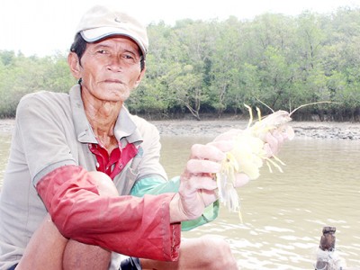 Dòng sông nào ở Đồng Nai tới mùa dân ra bắt vô số loài sản vật, con tôm tít to bự cầm nặng tay